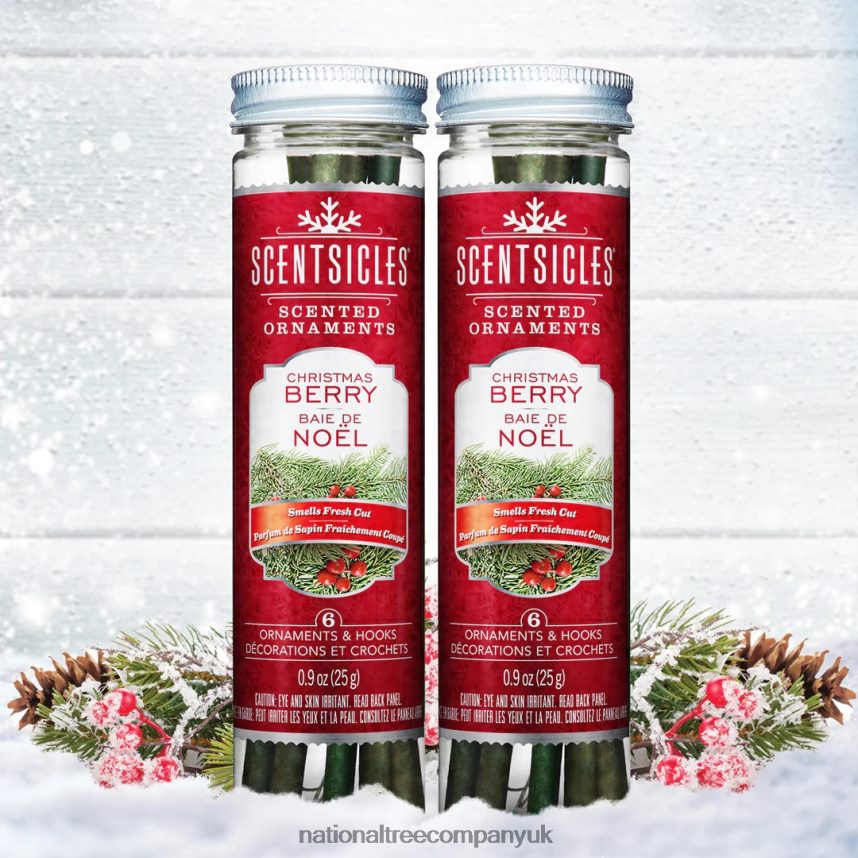 decoration | National Tree Company Scented Ornaments, 2-Pack- 6ct Bottle, Christmas Berry, Fragrance-Infused Paper Sticks F2L4F549