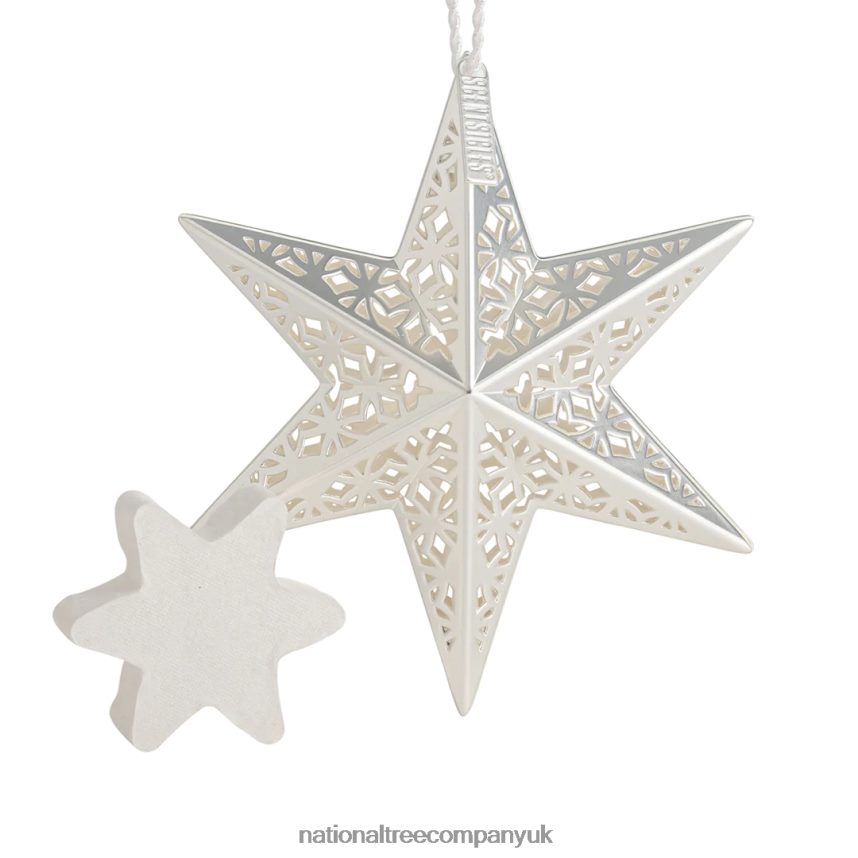 decoration | National Tree Company Scentsicles Decorative Ornament, Metal White Star, White Winter Fir with Refill F2L4F548