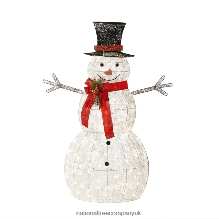 decoration | National Tree Company 60" Snowman Decoration with Warm White LED Lights F2L4F602