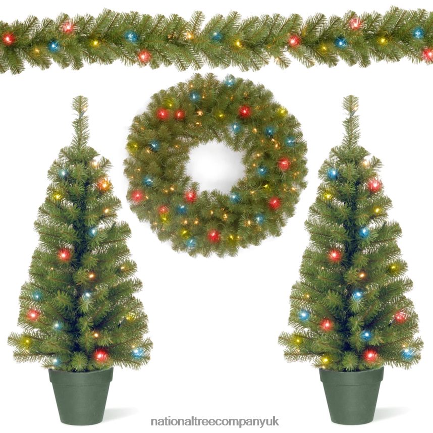 Greenery | National Tree Company Promotional Assortment with Battery Operated LED Lights F2L4F513
