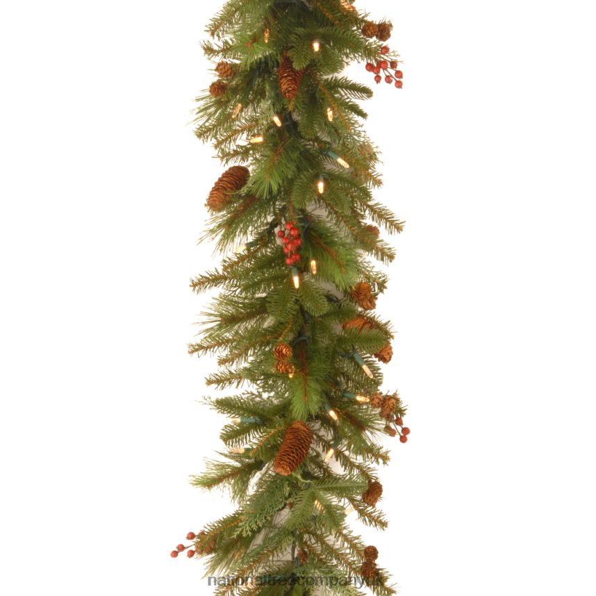 Greenery | National Tree Company Pre-Lit Artificial Christmas Garland, Green, Evergreen, White Lights, Decorated With Pine Cones, Berry Clusters, Battery Powered, Christmas Collection, 6 Feet F2L4F410
