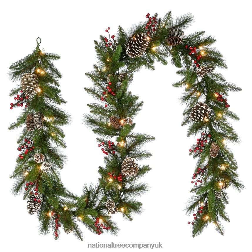 Greenery | National Tree Company Pre-Lit Artificial Christmas Garland, Green, Snowy Green, White Lights, Decorated With Pine Cones, Berry Clusters, Plug In, Christmas Collection, 6 Feet F2L4F355