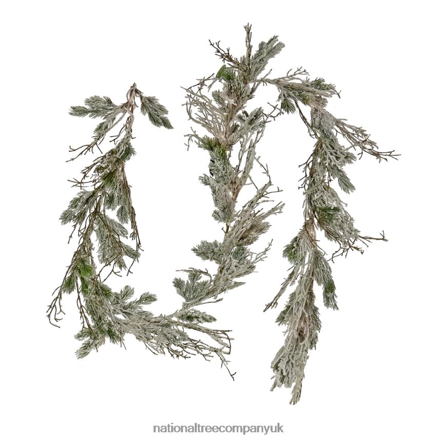 Greenery | National Tree Company 9' Christmas Trimmed Snowy Twig Garland, 200 Warm White LED Rice Lights-Battery Operated with Remote Control F2L4F423