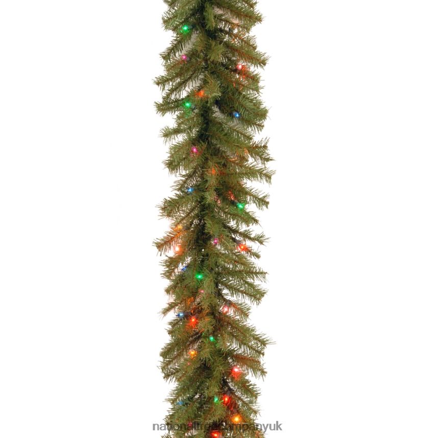 Greenery | National Tree Company Pre-Lit Artificial Christmas Garland, Green, Evergreen, Multicolor Lights, Plug In, Christmas Collection, 9 Feet F2L4F348