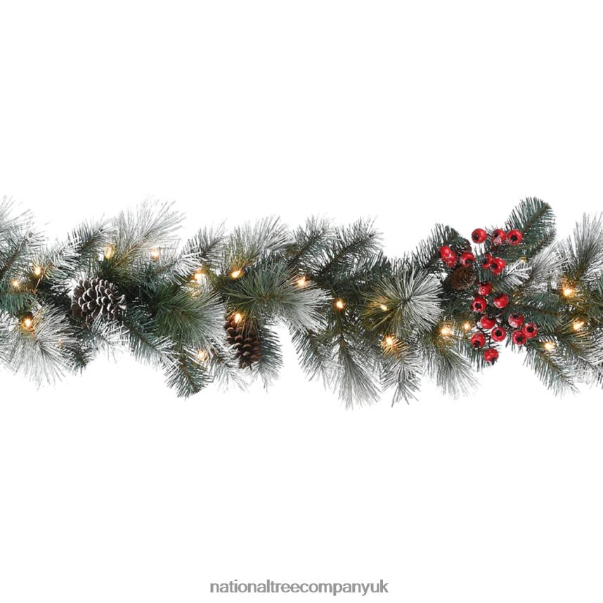 Greenery | National Tree Company Pre-Lit Artificial Christmas Garland, Green, Glacier Pine, White Lights, Decorated With Pine Cones, Berry Clusters, Frosted Branches, Plug In, Christmas Collection, 9
