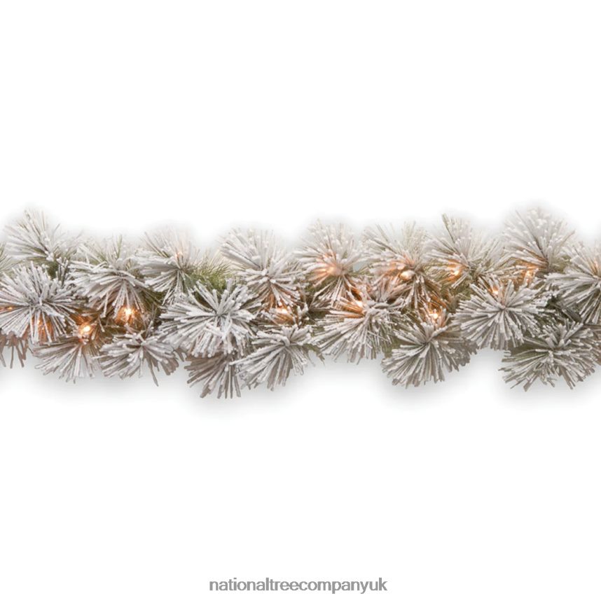 Greenery | National Tree Company Pre-Lit Artificial Christmas Garland, Green, Glittery Bristle Pine, White Lights, Decorated With Frosted Branches, Plug In, Christmas Collection, 9 Feet F2L4F361