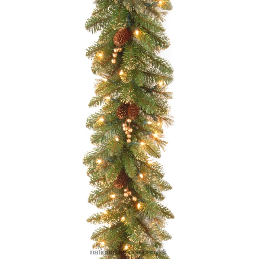 Greenery | National Tree Company Pre-Lit Artificial Christmas Garland, Green, Glittery Pine, White Lights, Decorated With Pine Cones, Berry Clusters, Plug In, Christmas Collection, 9 Feet F2L4F343