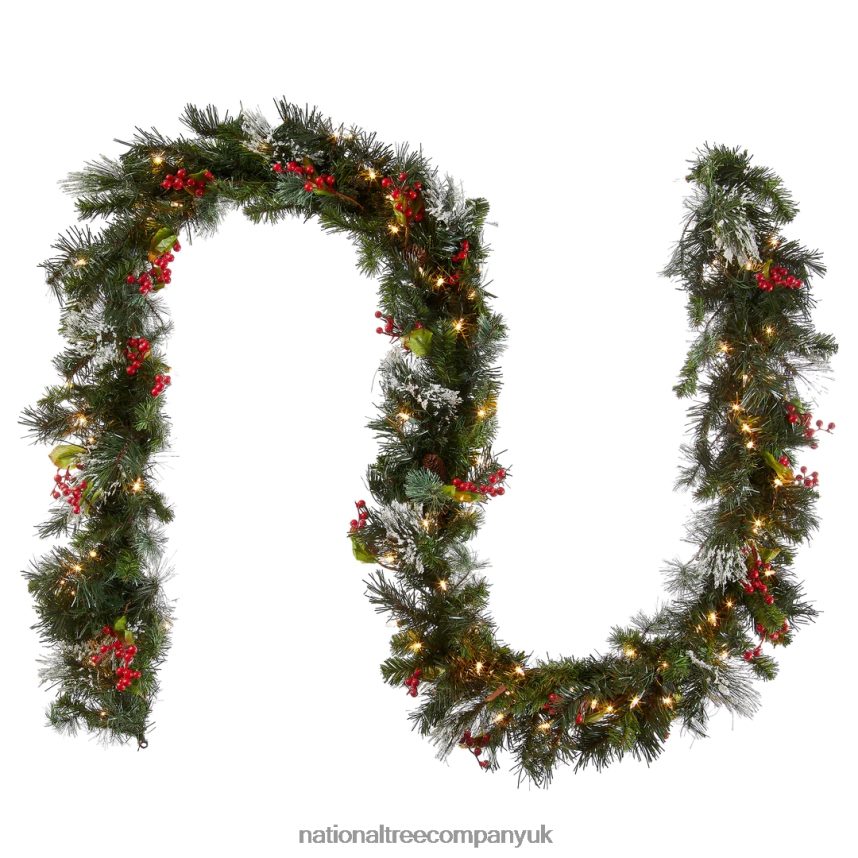Greenery | National Tree Company Pre-Lit Artificial Christmas Garland, Green, Wintry Pine, White Lights, Decorated with Pine Cones, Berry Clusters, Plug In, Christmas Collection, 9 Feet F2L4F332