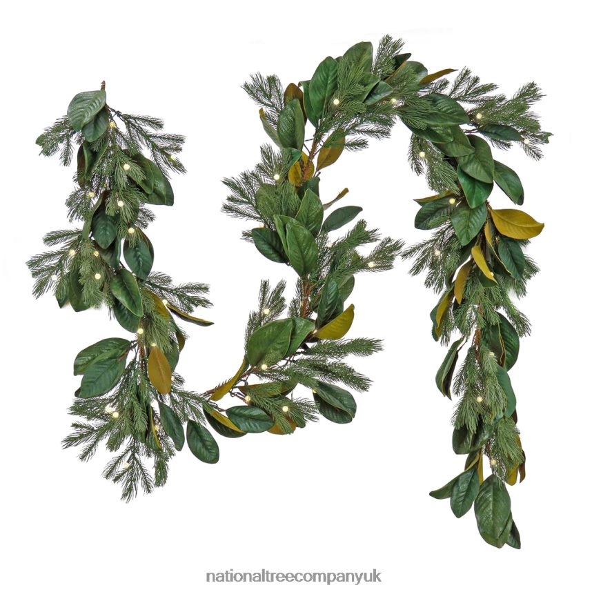 Greenery | National Tree Company Pre Lit Artificial Garland, Magnolia Mix, Green, Decorated with Leafy Greens, Warm White LED Lights, Battery Powered, Christmas Collection, 9 Feet F2L4F386