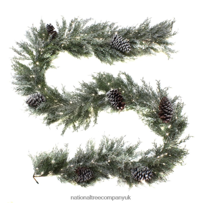 Greenery | National Tree Company Pre Lit Artificial Garland, Snowy Christmas, Green, Frosted, Decorated with Frosted Pine Cones, Pure White LED Lights, Battery Powered, Christmas Collection, 9 Feet F2