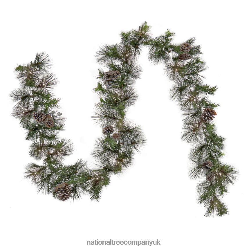 Greenery | National Tree Company Pre Lit Artificial Garland, Whitter Pine, Green, Decorated with Pine Cones, Silver Berry Clusters, Warm White LED Lights, Battery Powered, Christmas Collection, 9 Feet