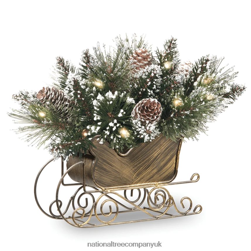 Greenery | National Tree Company 10" Glittery Bristle Pine Sleigh with White Tipped Cones F2L4F441