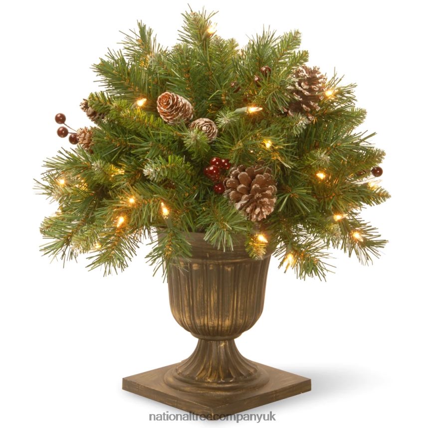 Greenery | National Tree Company 18in Frosted Berry Porch Bush with Clear Lights F2L4F468
