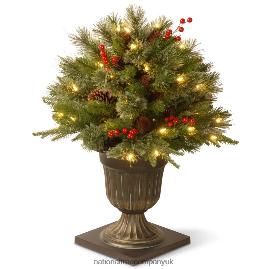 Greenery | National Tree Company 24" Colonial Porch Bush with Clear Lights F2L4F449