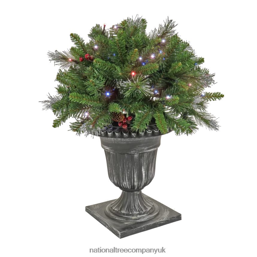 Greenery | National Tree Company 24" Crestwood Spruce Porch Bush with Twinkly LED Lights F2L4F506