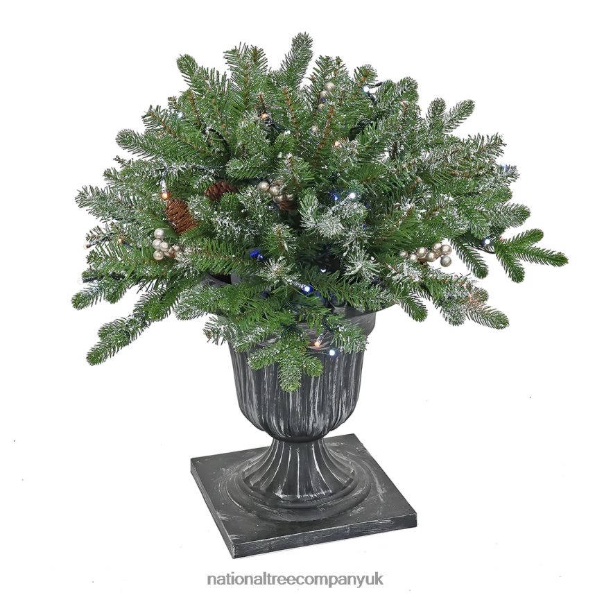 Greenery | National Tree Company 24" Snowy Morgan Spruce Porch Bush with Twinkly LED Lights F2L4F492