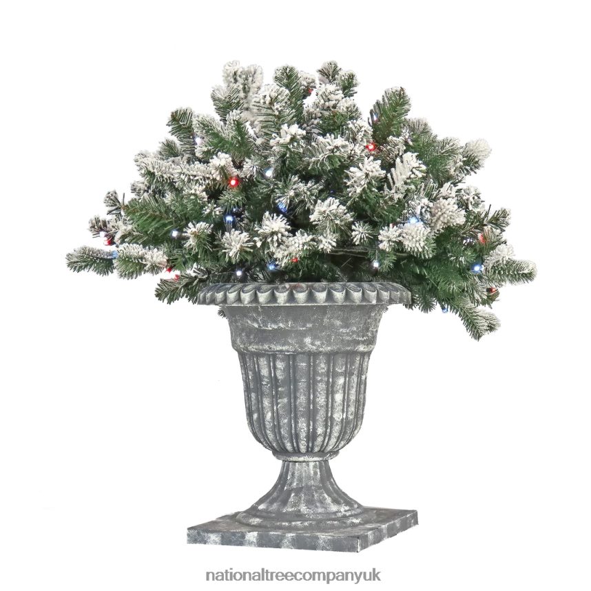 Greenery | National Tree Company 24" Snowy Sheffield Spruce Porch Bush with Twinkly LED Lights F2L4F494