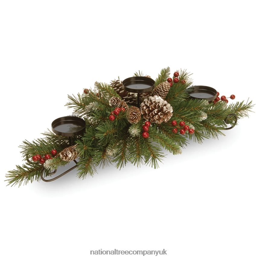 Greenery | National Tree Company 30in. Frosted Berry Centerpiece and Candle Holder F2L4F455