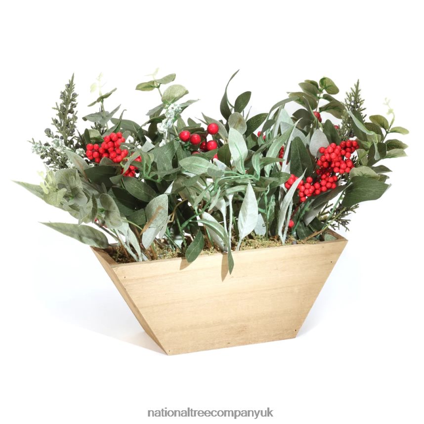 Greenery | National Tree Company Christmas Eucalyptus and Berry Arrangement with Wood Box Base, 22 in F2L4F489