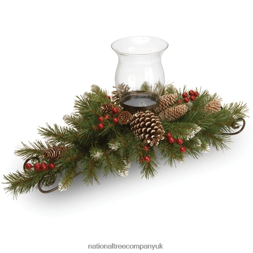 Greenery | National Tree Company Frosted Berry Candleholder Centerpieces F2L4F456