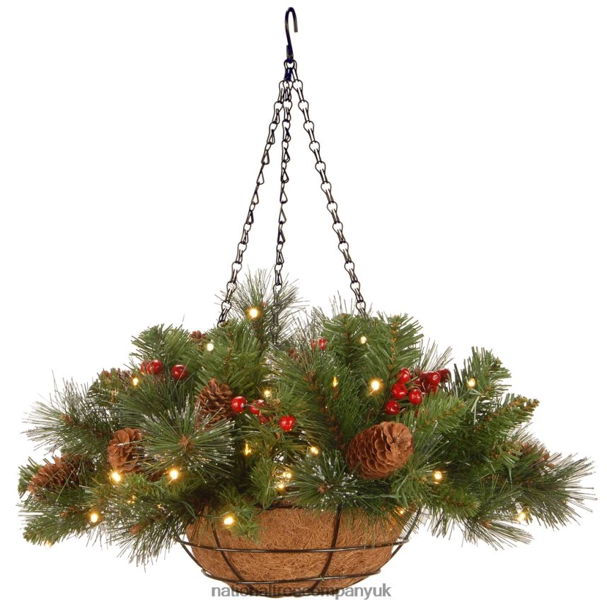 Greenery | National Tree Company Pre-Lit Artificial Hanging Basket Crestwood Spruce with Battery Powered Operated LED Lights, with Warm White LED Lights, Battery Powered, Christmas Collection, 16 in F