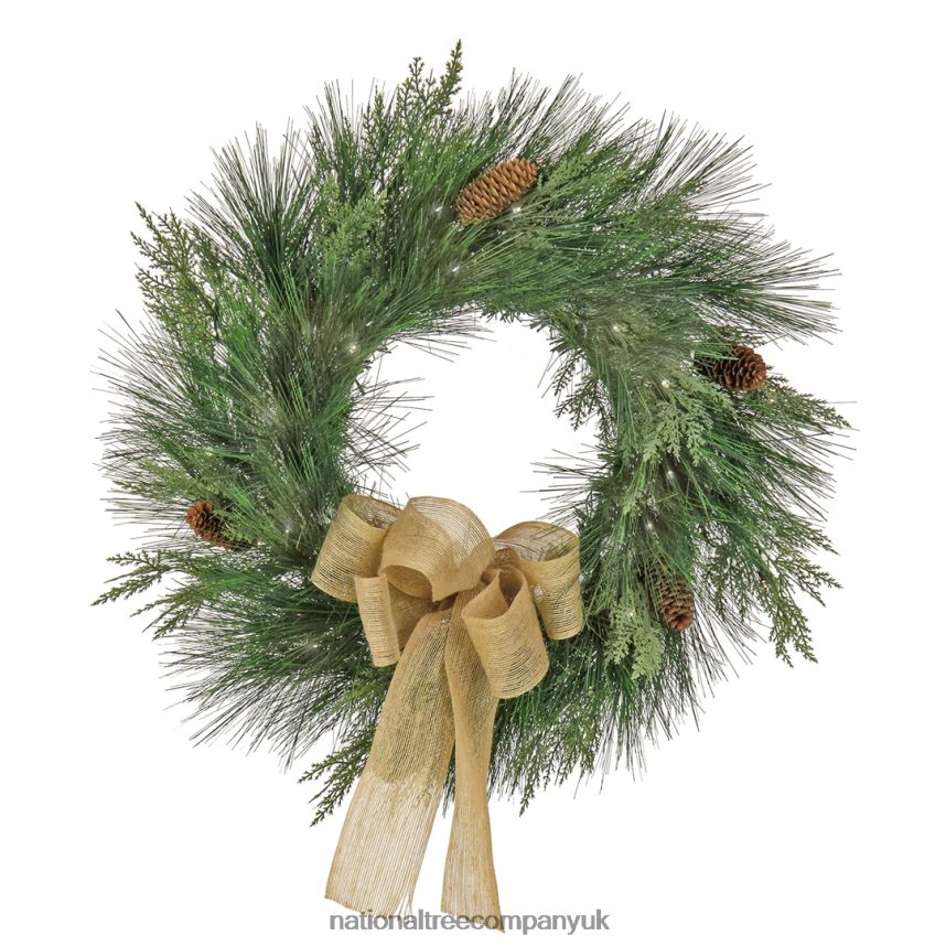 Greenery | National Tree Company 22" HGTV Home Collection Pre-Lit Black Tie Cedar Wreath F2L4F261