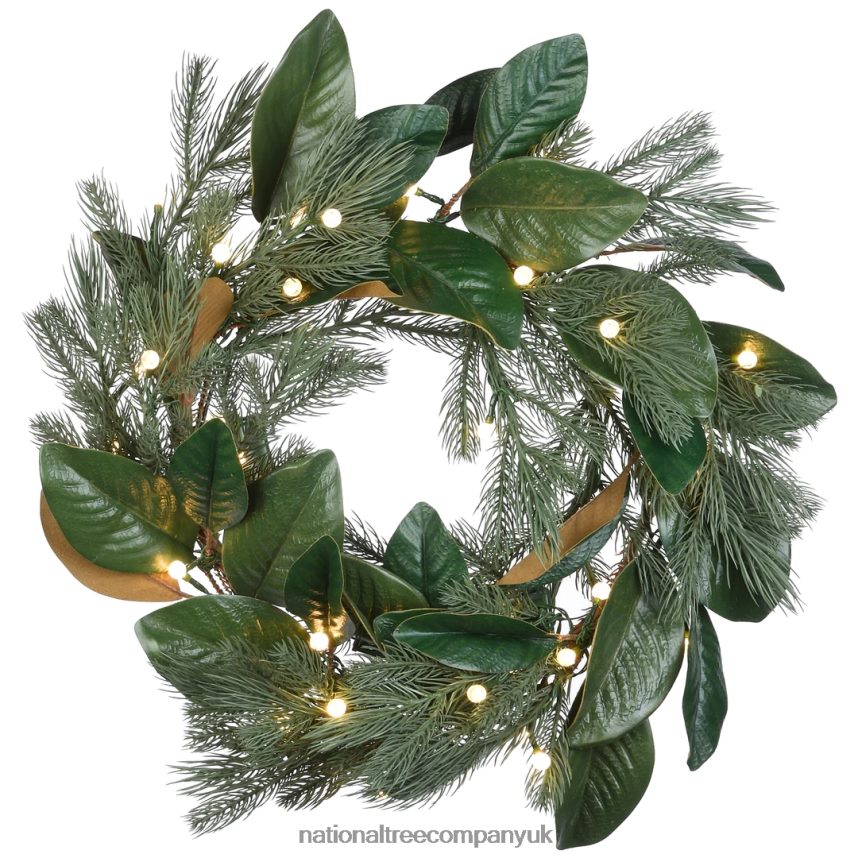 Greenery | National Tree Company 24" Magnolia Mix Pine Wreath with LED Lights F2L4F294