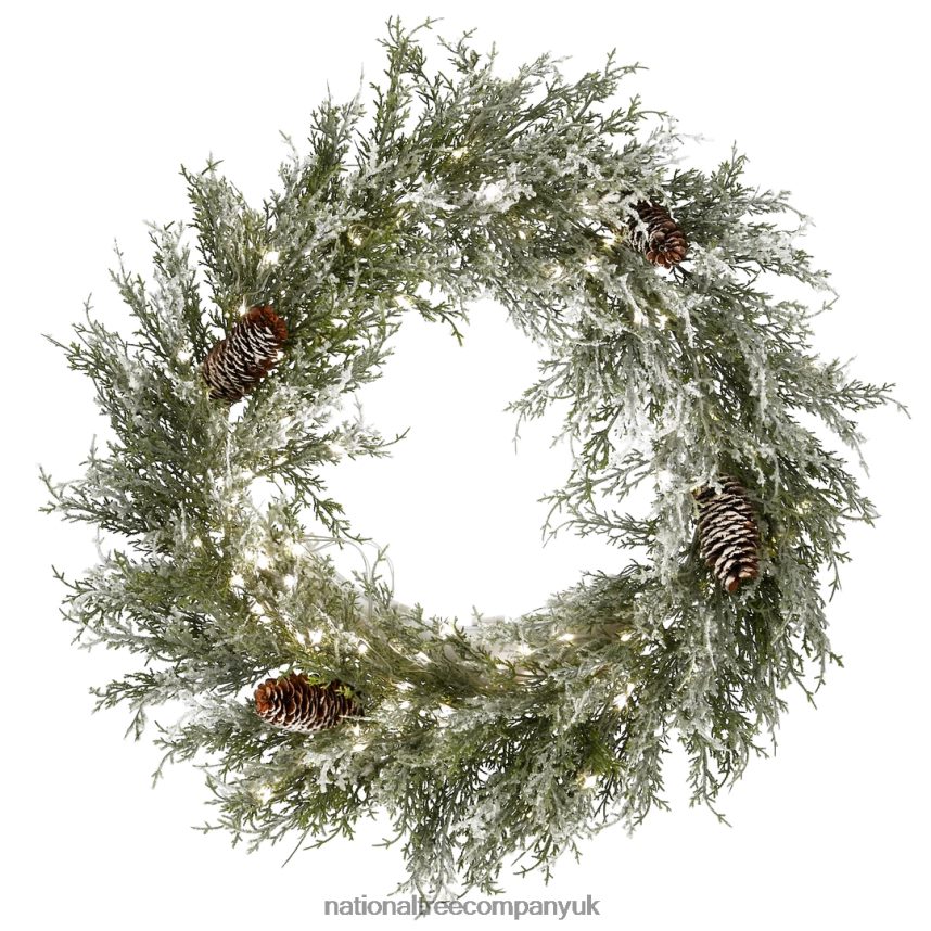 Greenery | National Tree Company 24" Pre-Lit Snowy Christmas Wreath with Pinecones F2L4F293
