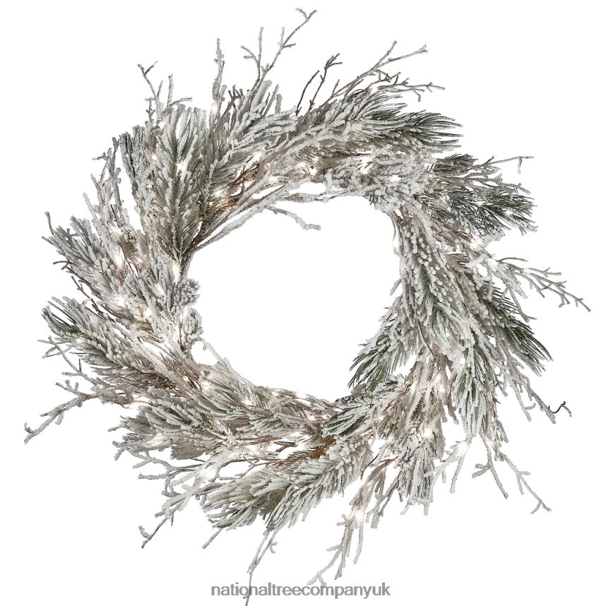 Greenery | National Tree Company 24" Pre-Lit Snowy Twig Wreath F2L4F269