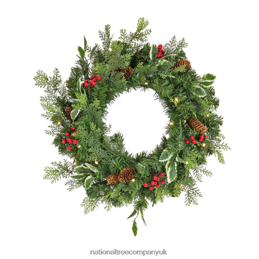 Greenery | National Tree Company First Traditions Collection 24" Christmas Joy Pre Lit Wreath F2L4F265