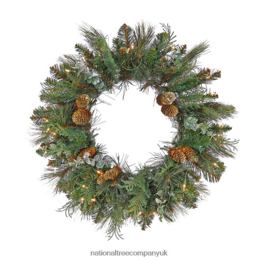 Greenery | National Tree Company First Traditions Collection, 24" Pre-Lit Artificial North Conway Wreath with Glittery Cones and Eucalyptus F2L4F266