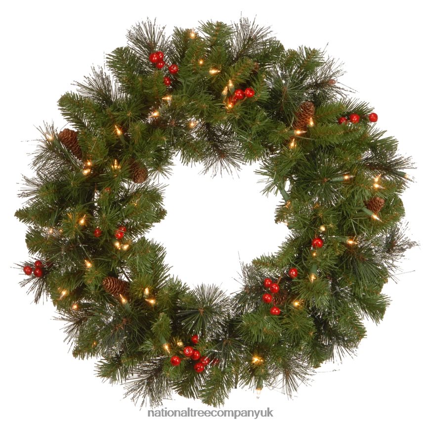 Greenery | National Tree Company Pre-Lit Artificial Christmas Wreath, Crestwood Spruce with Twinkly LED Lights, Plug in, 24 in F2L4F316