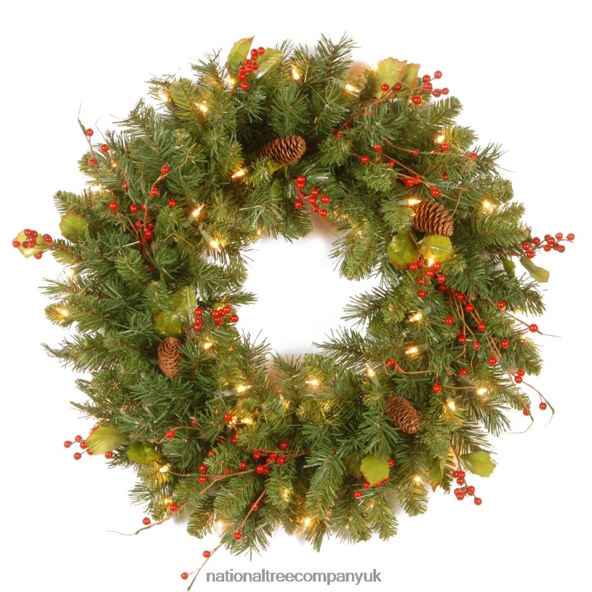 Greenery | National Tree Company Pre-Lit Artificial Christmas Wreath, Green, Classical, White Lights, Decorated with Pine Cones, Berry Clusters, Leaves, Twigs, Christmas Collection, 24 Inches F2L4F234