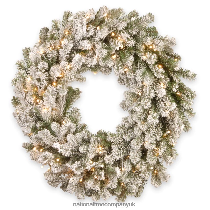 Greenery | National Tree Company Pre-Lit Artificial Christmas Wreath, Snowy Sheffield Spruce with Twinkly LED Lights, Plug in, 24 in F2L4F304
