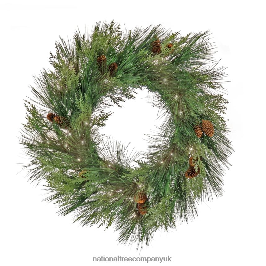 Greenery | National Tree Company 28" HGTV Home Collection Pre-Lit Black Tie Cedar Wreath F2L4F249