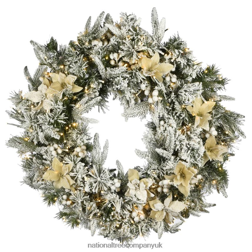 Greenery | National Tree Company 30" Frosted Colonial Fir Wreath with Dual Color LED Cosmic Lights F2L4F317