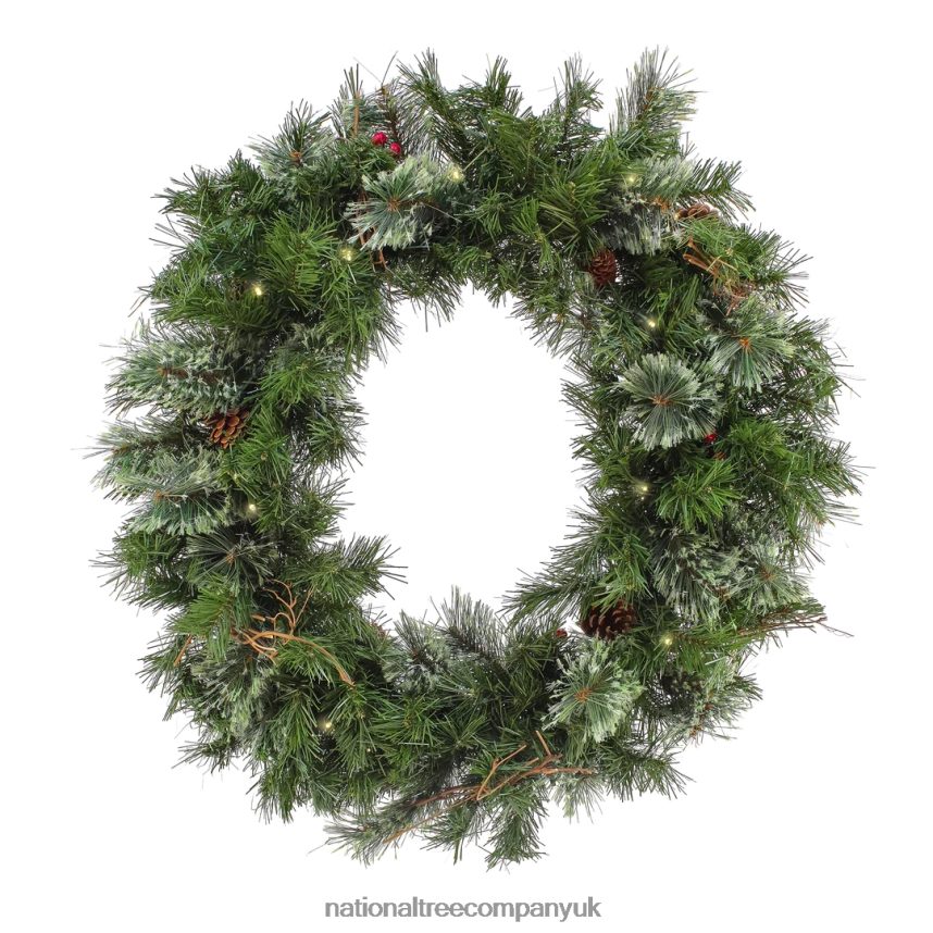 Greenery | National Tree Company 30" Glistening Pine Wreath with LED Lights F2L4F255