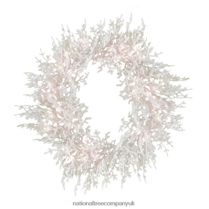 Greenery | National Tree Company 30" HGTV Home Collection Pre-Lit Christmas by the Sea Coral Wreath F2L4F292