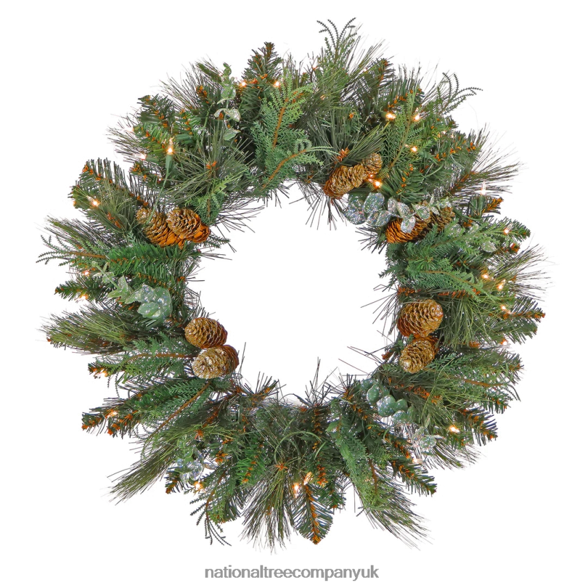 Greenery | National Tree Company First Traditions Collection, 30" Pre-Lit Artificial North Conway Wreath with Glittery Cones and Eucalyptus, 100 Warm White LED Lights- Battery Operated with Timer F2L4
