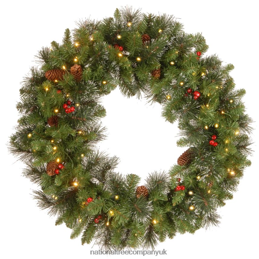 Greenery | National Tree Company Pre-Lit Artificial Christmas Wreath, Crestwood Spruce with Twinkly LED Lights, Plug in, 30 in F2L4F301