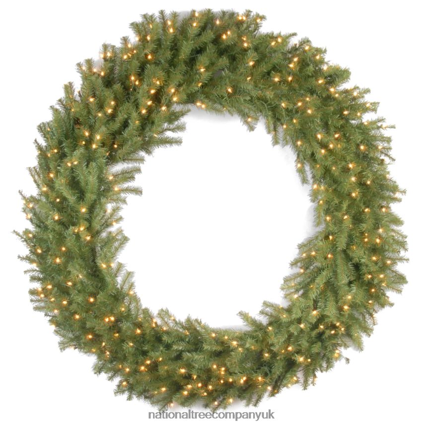 Greenery | National Tree Company Pre-Lit Artificial Christmas Wreath, Green, Norwood Fir, White Lights, Christmas Collection, 60 Inches F2L4F229