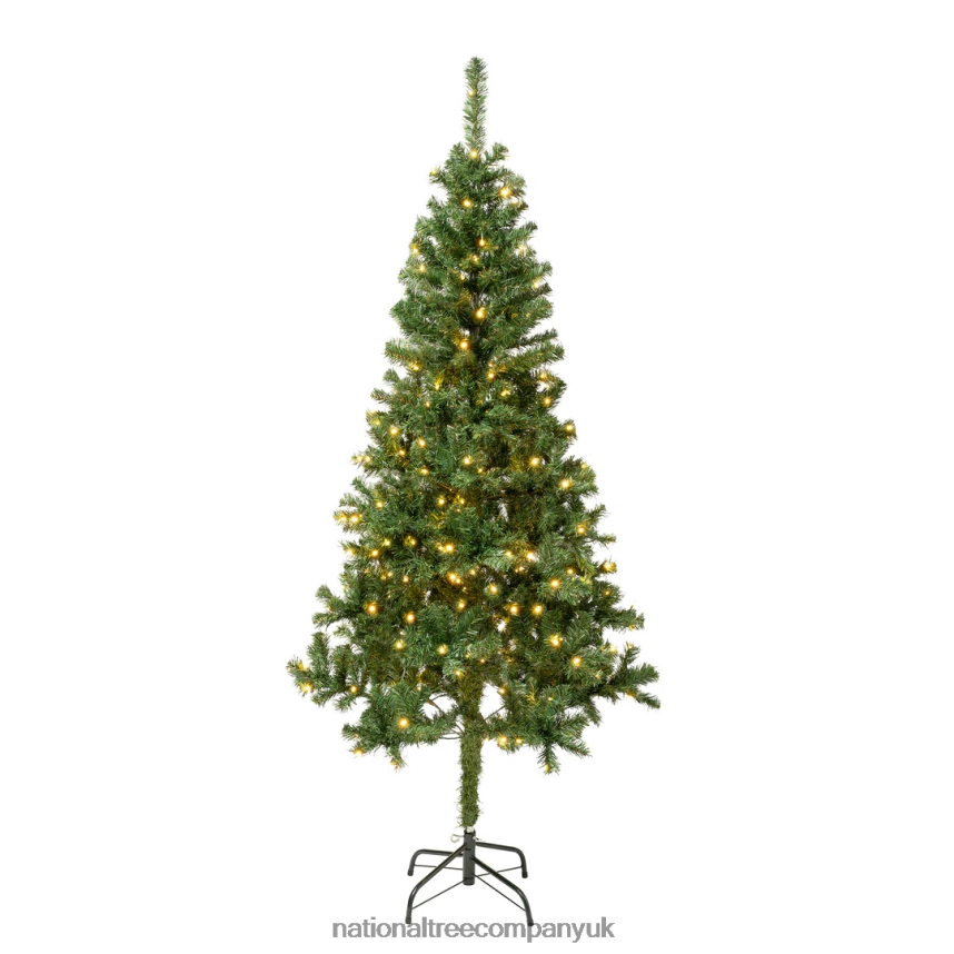 Trees | National Tree Company First Traditions Pre-Lit Artificial Linden Spruce Christmas Tree, Warm White LED Lights, Plug In, 6 ft F2L4F184