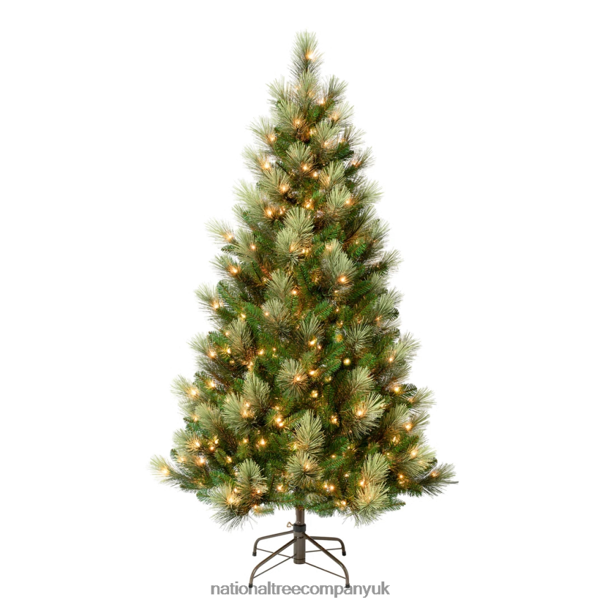 Trees | National Tree Company First Traditions Pre-Lit Charleston Pine Snowy Slim Christmas Tree, Clear Incandescent Lights, Plug In, 6 ft F2L4F154