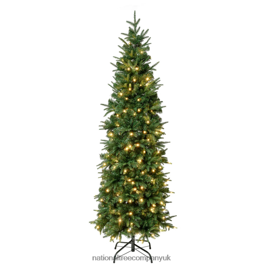 Trees | National Tree Company First Traditions Pre-Lit Duxbury Slim Christmas Tree with Hinged Branches, Warm White LED Lights, Plug In, 6 ft F2L4F2