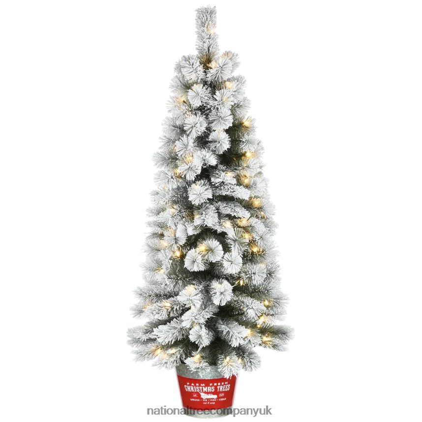 Trees | National Tree Company Pre-Lit Artificial Christmas Entrance Tree, Snowy Pogue Pine, with Warm White LED Lights, Plug in, 5 ft F2L4F169