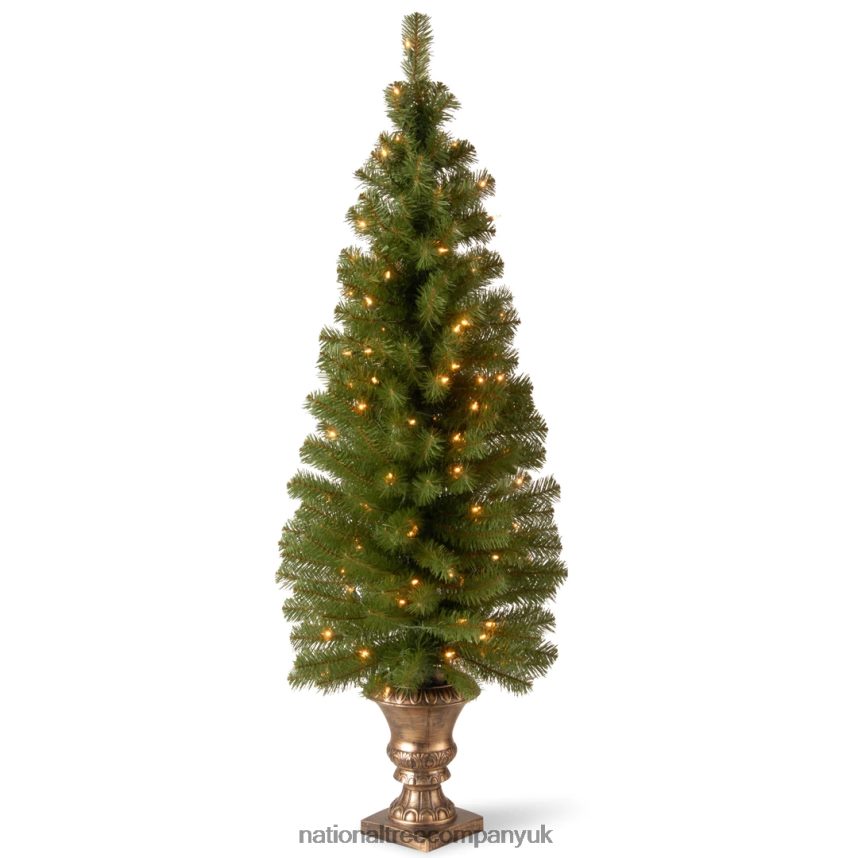 Trees | National Tree Company Pre-Lit Artificial Entrance Christmas Tree, Montclair Spruce, Green, White Lights, Includes Metal Base, 5 Feet F2L4F27