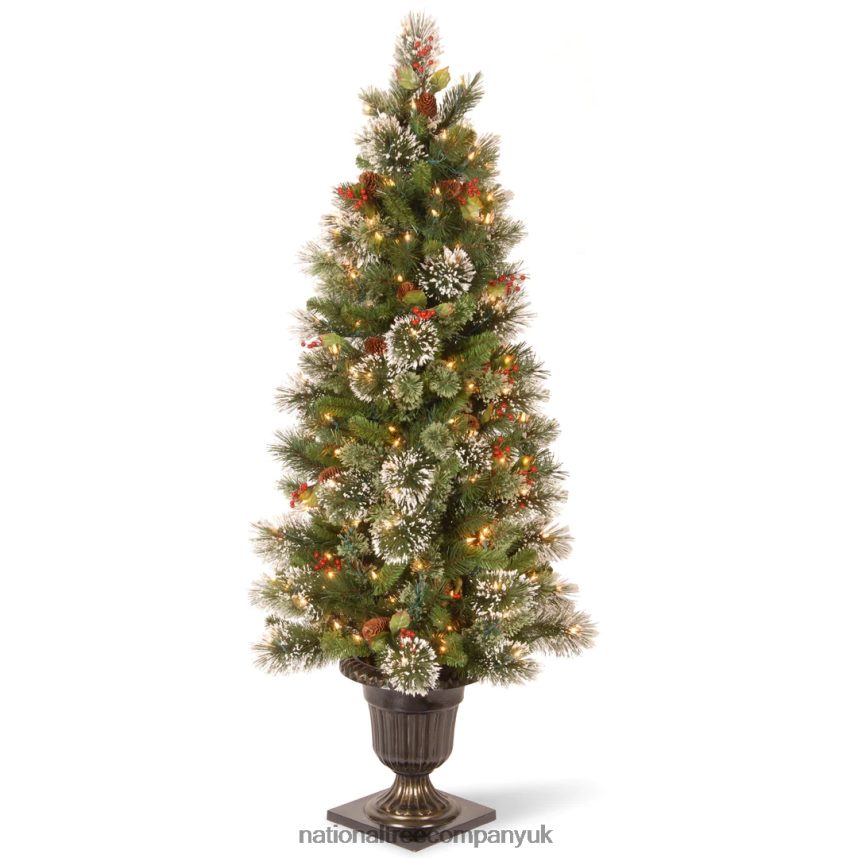 Trees | National Tree Company Pre-Lit Artificial Entrance Christmas Tree, Wintry Pine, Green, White Lights, Decorated with Berry Clusters, Pine Cones, Includes Metal Base, 5 Feet F2L4F175