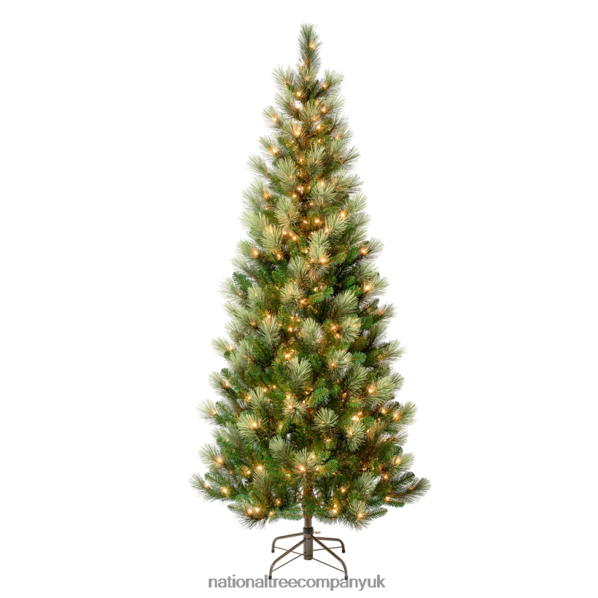 Trees | National Tree Company First Traditions Pre-Lit Charleston Pine Snowy Slim Christmas Tree, Clear Incandescent Lights, Plug In, 7.5 ft F2L4F113