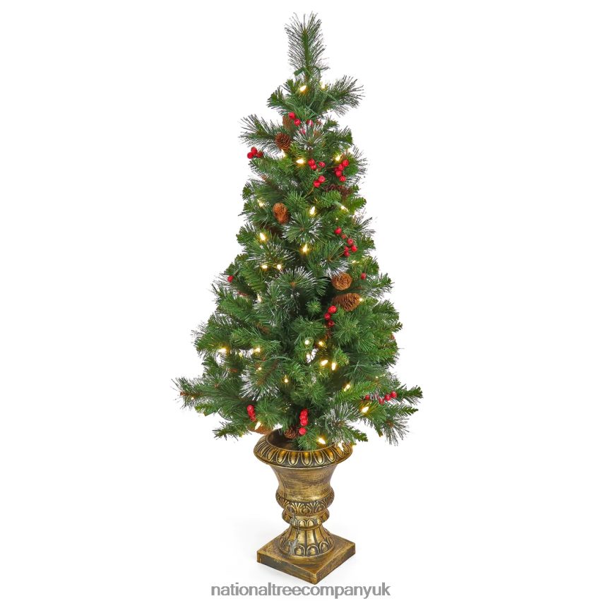 Trees | National Tree Company 4 ft. Crestwood Spruce Entrance Tree with Warm White LED Lights F2L4F10