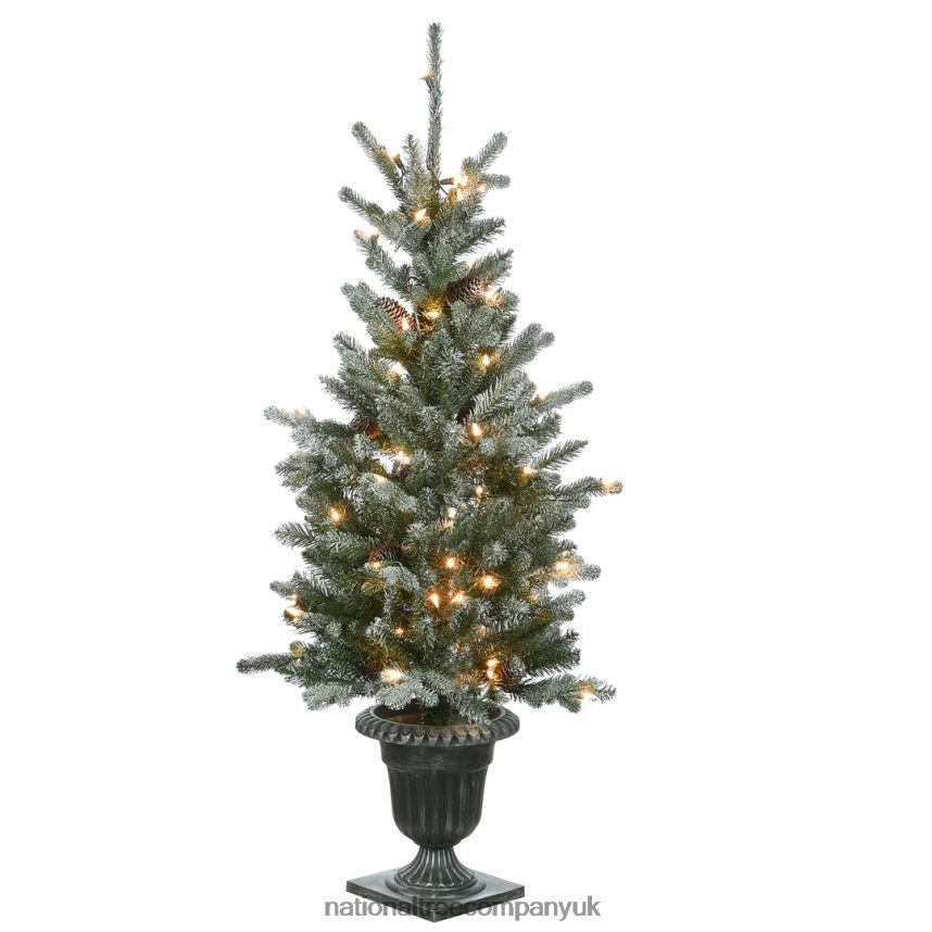 Trees | National Tree Company 4 ft Snowy Morgan Spruce Entrance Tree with Clear Lights F2L4F89